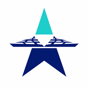 Bluestar Marine FL - Logo
