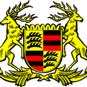 Einar's Garage - Logo