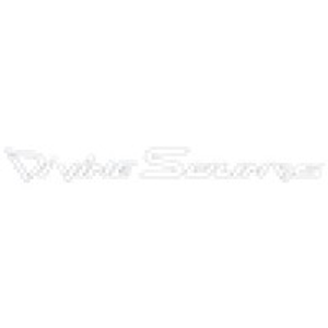 Divine Sounds - Logo