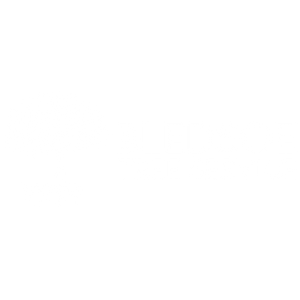 Bledsoe Tree Service, LLC - Logo