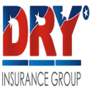 DRY Insurance Group - Logo