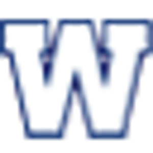 Bomber Store - Logo