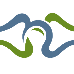 Joint Flow - Logo