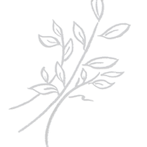 Wild Thyme Gourmet