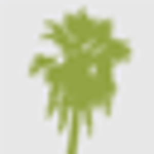 Casago- Lake Arrowhead - Logo