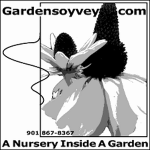 Gardens Oy Vey - An Online Nursery - Logo