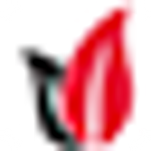 Condray & Young LLC - Logo
