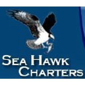 Sea Hawk Charters
