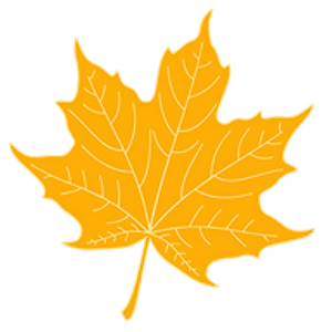 R-Con contracting - Property maintenance in Thunder Bay