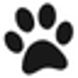 Pets Square - Logo