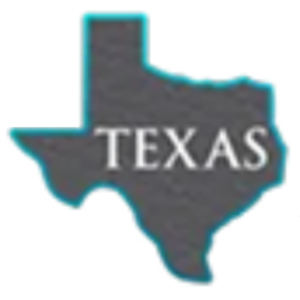 Buying Texas Today - Logo