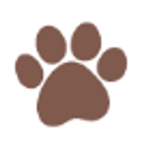 All Paws Compassionate Care - Logo