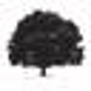 Omni Tree Service, Inc. - Logo