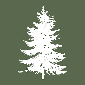 Boyd Skinner Park - Logo