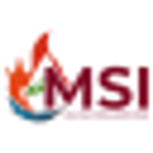 Mold Solutions & Inspections - Logo