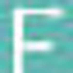 feldenkraisnoho - Logo