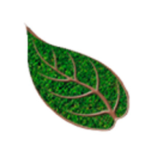 Lone Star Landscaping - Logo