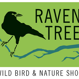 Raven Tree - Logo