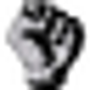 Stone Hands llc - Logo