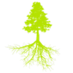 Red Cedar Landscapes - Logo