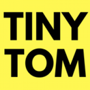 Tiny Tom's Chimney Sweep and Repair - Toledo - Chimney sweep in Toledo