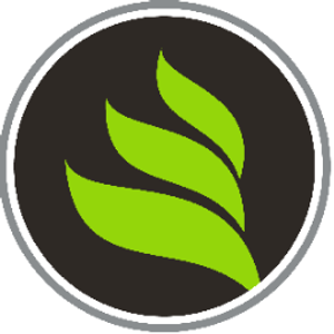 New Life - Logo