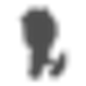 Grand Island Ferry Services - Logo