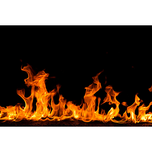 Pro-tech fire and safety - Logo