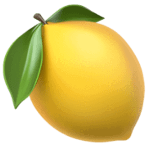 Lemon Roofing