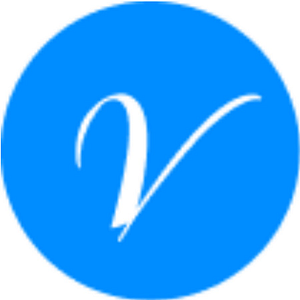 Vonza - Internet marketing service in Alpharetta