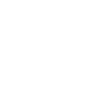 Toledo Deck Store - Logo