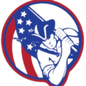 Patriot Construction Solutions, Inc - Logo