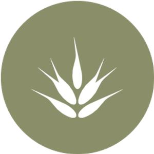 EQuiCIBUS LLC - Logo