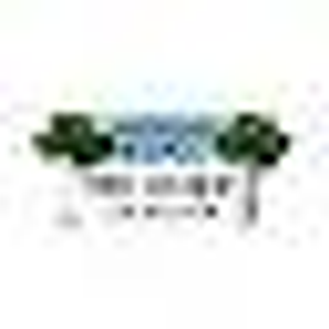 Blue Ridge Tree Services LLC - Logo