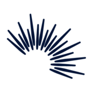 Anne Rossley Real Estate-Downtown Chicago, Loop, Gold Coast, River North, Streeterville - Logo