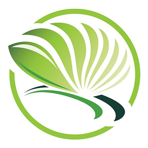 Cedar Landscaping and Pressure Washing - Logo