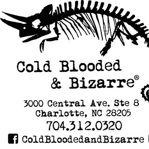 Cold Blooded & Bizarre - Reptile store in Charlotte