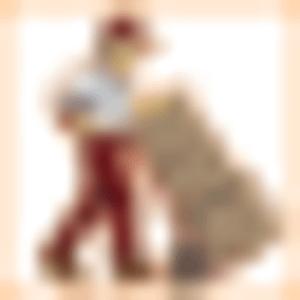 Low Budget Movers - Logo