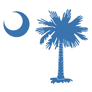 Palmetto Roofers - Logo