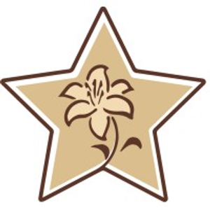 Stargazer Fine Chocolates and Coffee - Logo