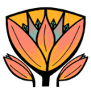 Shining Lotus Metaphysical Bookstore