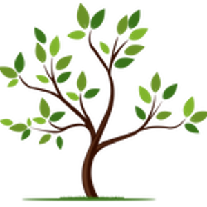 Belmont Psychological Services - Logo
