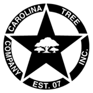 Carolina Tree Company, Inc.