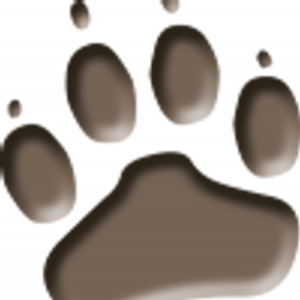 Camp K9