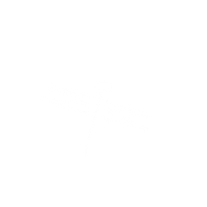 Mixed Manual Therapy - Logo