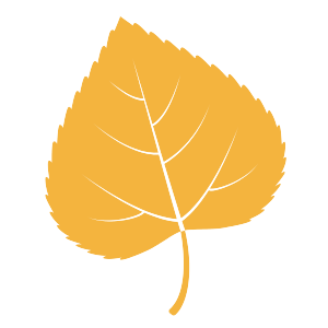 Trailhead Accounting Solutions CPA, LLC - Logo