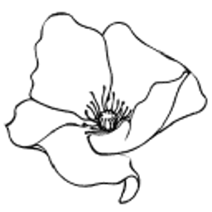 Boulder Integrative Therapy - Logo