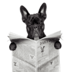 Executive Dog Lounge - Logo