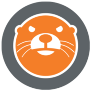 Dry Otter Basement Waterproofing & Foundation Repair - Logo