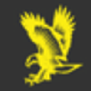 Eagle Eye Towing